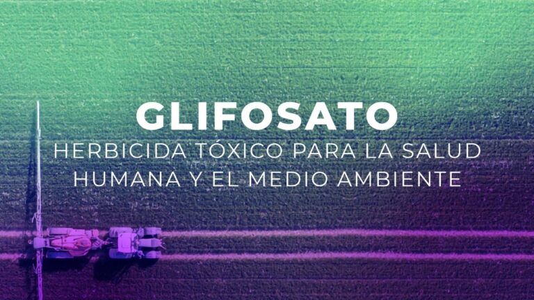 Estrategias Efectivas de Protecci&oacute;n Ambiental en el Uso de Pesticidas