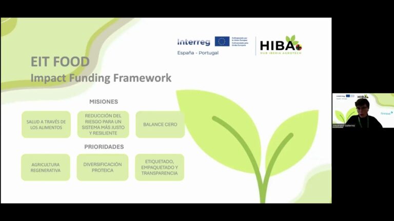 Normas de Etiquetado y Transparencia en la Publicidad Digital en Espa&ntilde;a