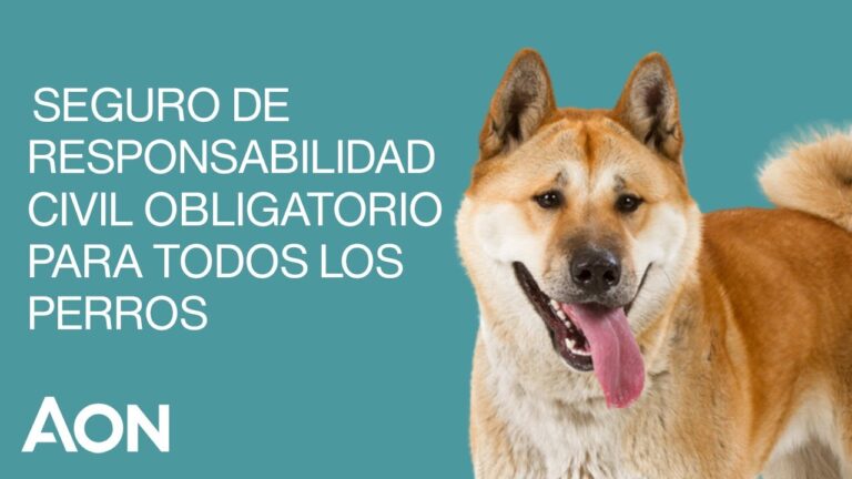 Responsabilidad Civil en la Tenencia de Mascotas en Espa&ntilde;a