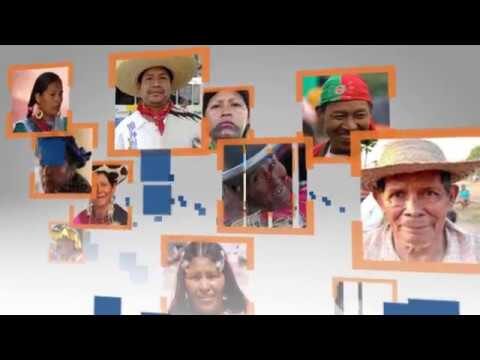 Identidad Nacional Espa&ntilde;ola y Participaci&oacute;n Pol&iacute;tica: Un V&iacute;nculo Esencial