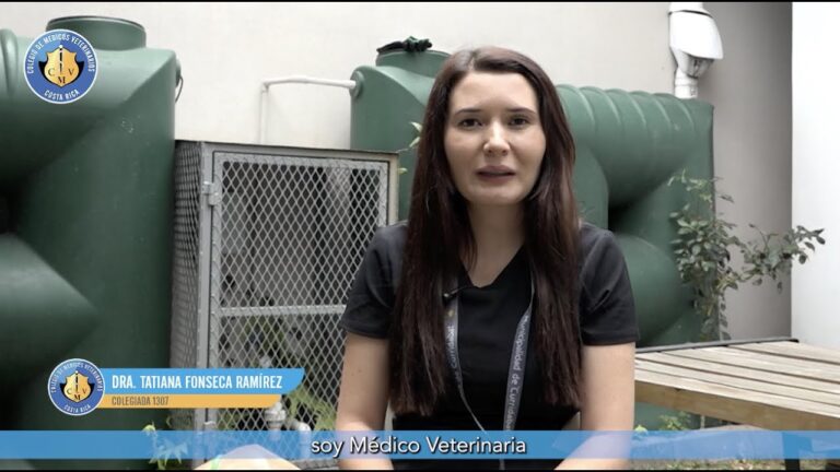 La importancia del veterinario en la legislaci&oacute;n actual