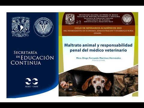 Sanciones por Abuso Animal en Espa&ntilde;a