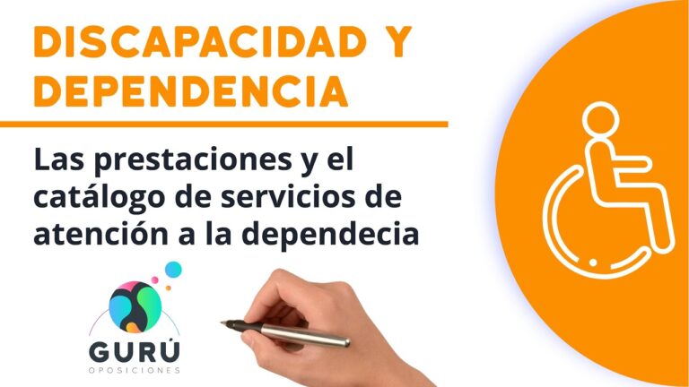 Apoyo a la Dependencia en la Ley de Protecci&oacute;n Social Espa&ntilde;ola