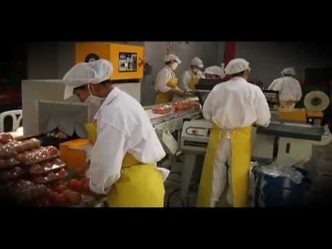 Cumplimiento de Normativas Sanitarias en la Restauraci&oacute;n