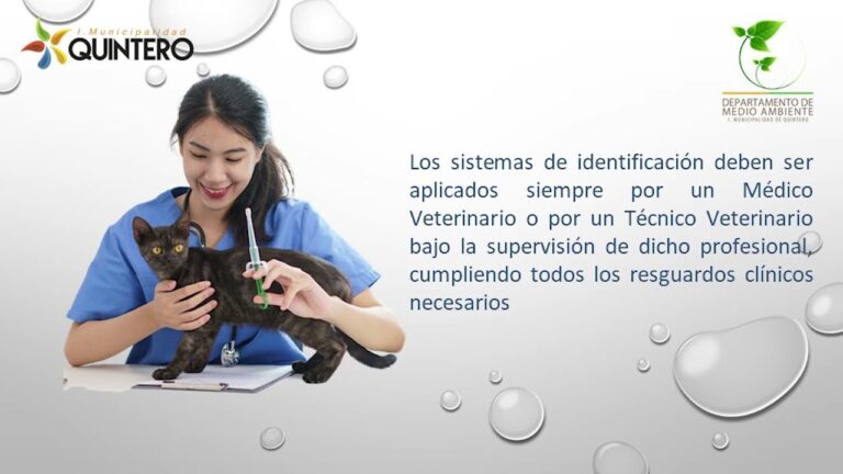 Legislaci&oacute;n sobre Tenencia Responsable de Mascotas