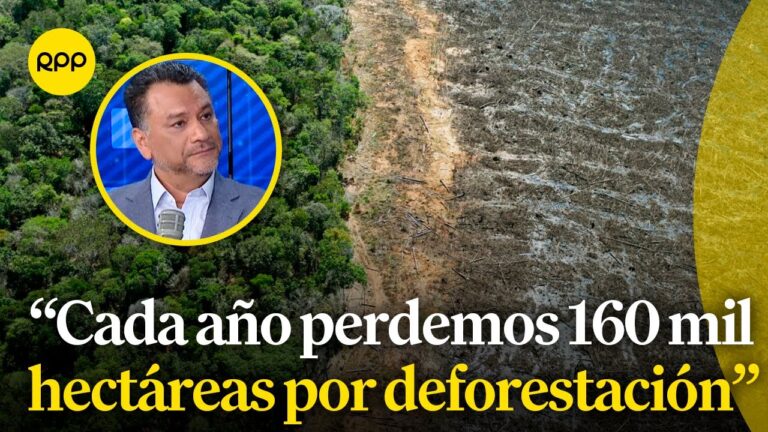 Normativas de Protección Medioambiental en el Sector Forestal Español