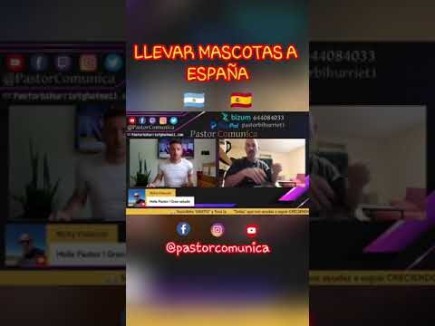 Gu&iacute;a para Cumplir con las Leyes de Tenencia de Animales en Espa&ntilde;a