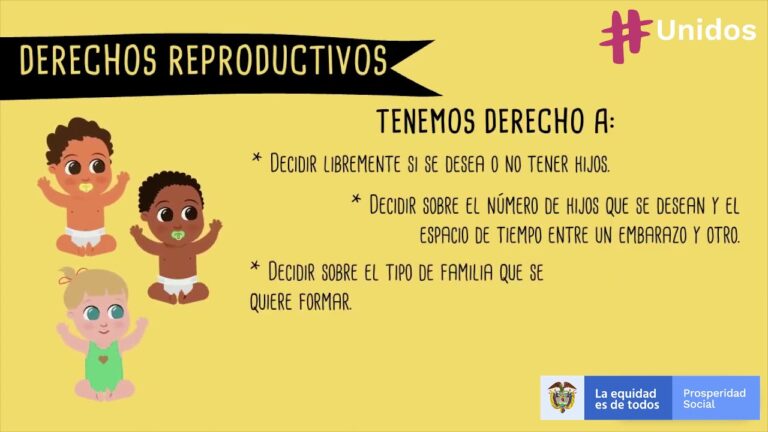 Derechos Reproductivos y Leyes de Igualdad en Espa&ntilde;a