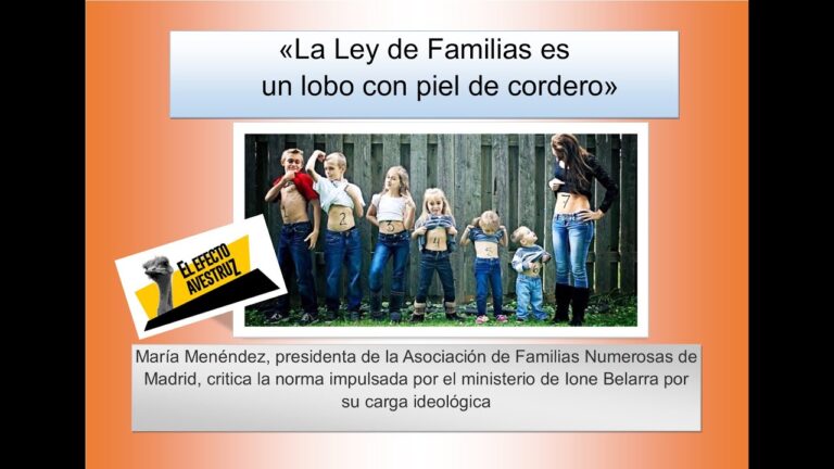 Familias Adoptivas y su Marco Legal en Espa&ntilde;a