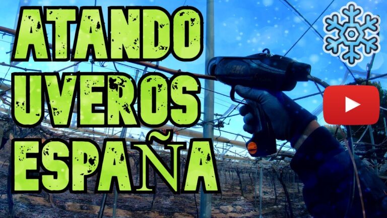 An&aacute;lisis del Salario M&iacute;nimo en el Derecho Laboral Espa&ntilde;ol