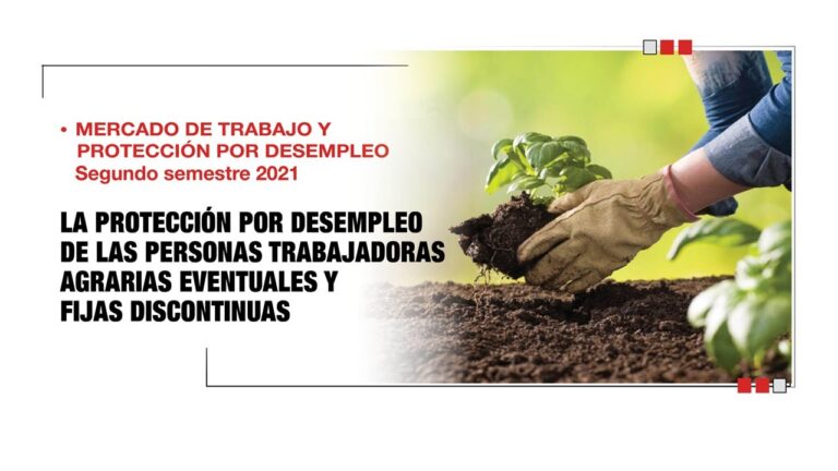 Pol&iacute;ticas de Protecci&oacute;n Social y Desempleo en Espa&ntilde;a: Retos y Oportunidades