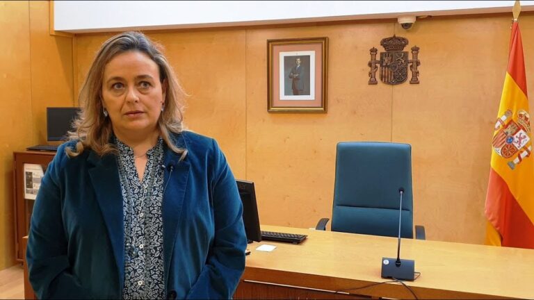 Medidas Punitivas por Delitos Fiscales en Espa&ntilde;a