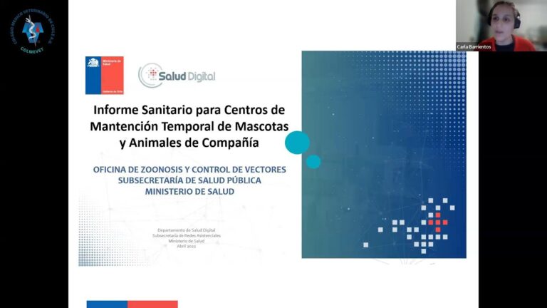 Cuidados Veterinarios y Normativas en la Tenencia Responsable de Animales