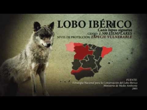 Conservaci&oacute;n de Especies en Peligro en Espa&ntilde;a: Desaf&iacute;os y Soluciones