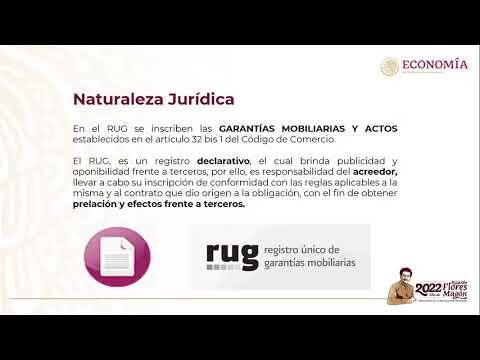 Protecci&oacute;n y Garant&iacute;as Legales en el Registro de Patentes