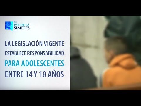 Reformas de penas para delitos juveniles en el sistema espa&ntilde;ol