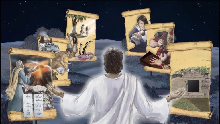 Derechos de los Animales en Sacrificios según la Ley Española