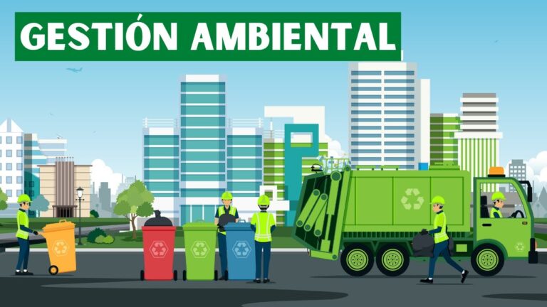 Impacto de las Normativas Ambientales en la Educaci&oacute;n Ambiental en Espa&ntilde;a