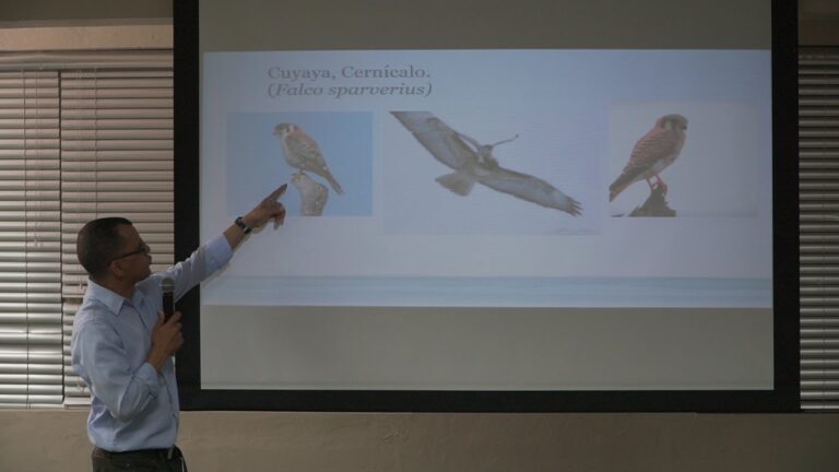 Implicaciones Legales de No Cumplir con las Leyes de Tenencia Animal