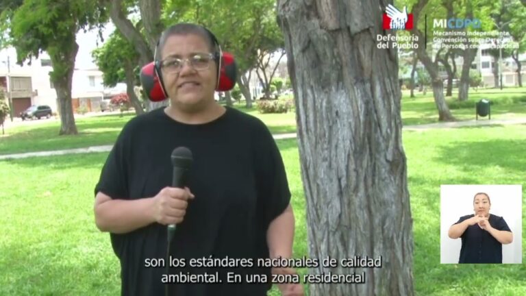 El impacto de la normativa ambiental en la reducci&oacute;n de ruidos molestos