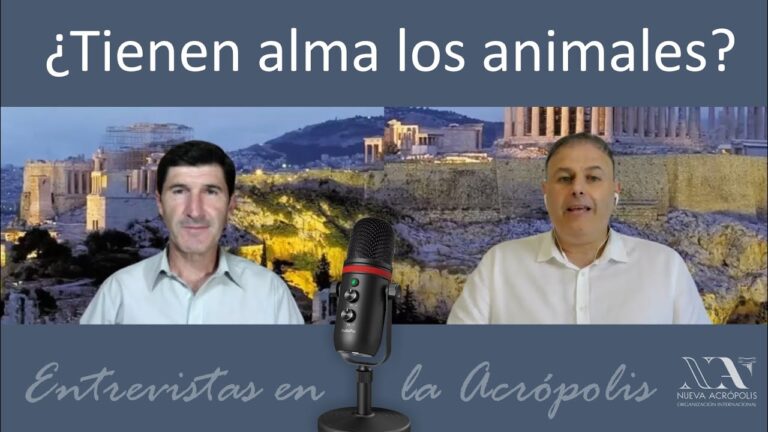 Avances Educativos Impulsados por la Ley de Protecci&oacute;n Social en Espa&ntilde;a