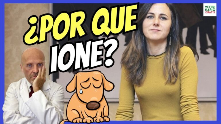 Efectividad de la Ley de Protecci&oacute;n Animal en Espa&ntilde;a