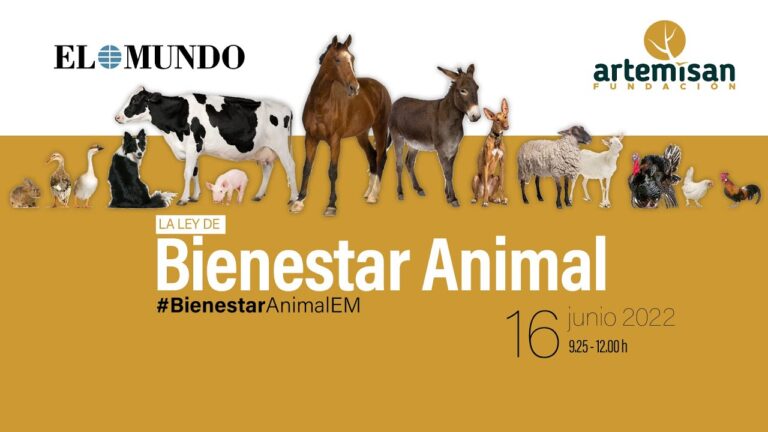 Concienciaci&oacute;n sobre la Ley de Protecci&oacute;n Animal en Espa&ntilde;a