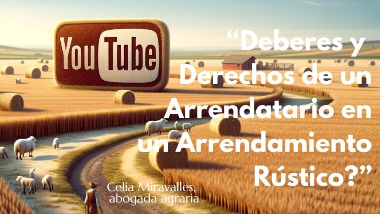 Derechos y Deberes del Arrendador en la Ley Espa&ntilde;ola