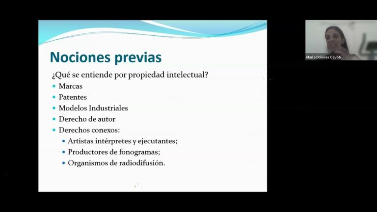 Garant&iacute;as de la Propiedad Industrial en el Registro de Marcas
