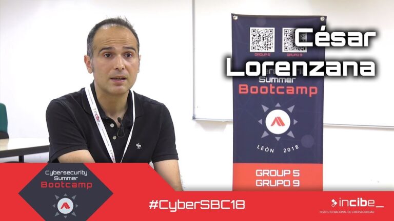 Avances Recientes en la Lucha contra los Delitos Inform&aacute;ticos en Espa&ntilde;a