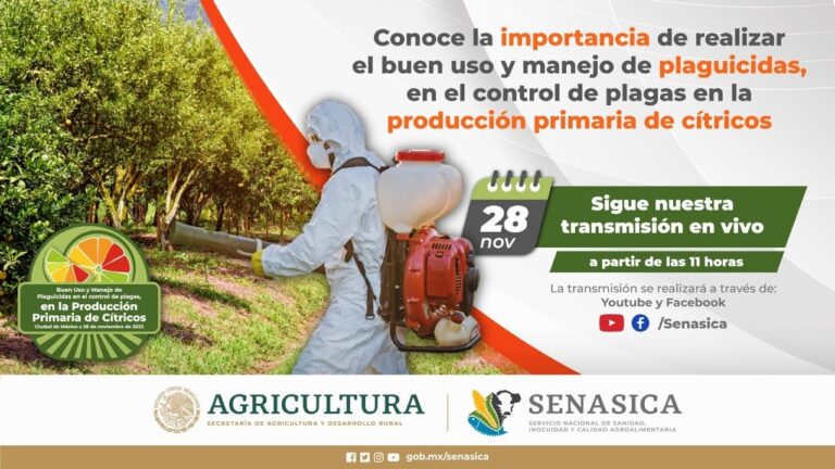 Control Eficaz de Plaguicidas en la Agricultura Española