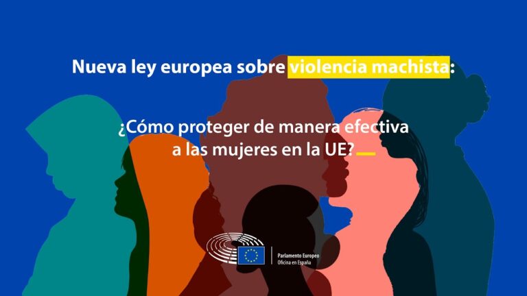 Normativa de Protecci&oacute;n contra la Violencia Dom&eacute;stica en Espa&ntilde;a