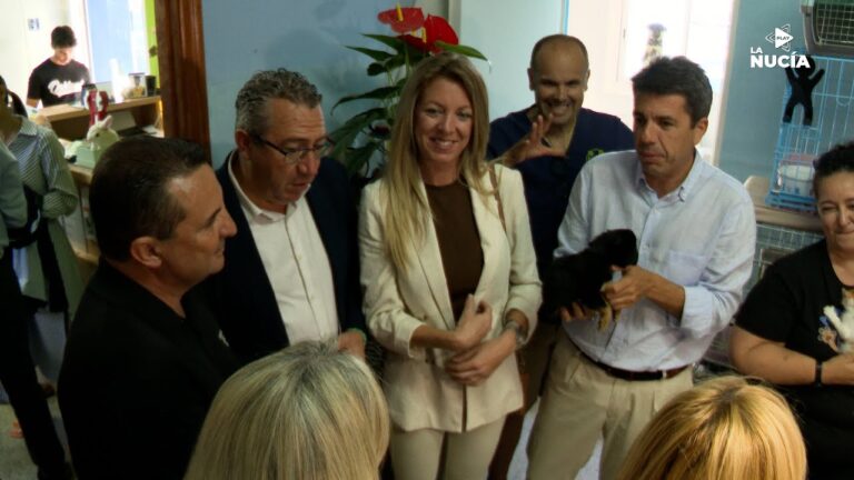 Protecci&oacute;n Animal y Adopci&oacute;n Responsable en Centros de Acogida en Espa&ntilde;a