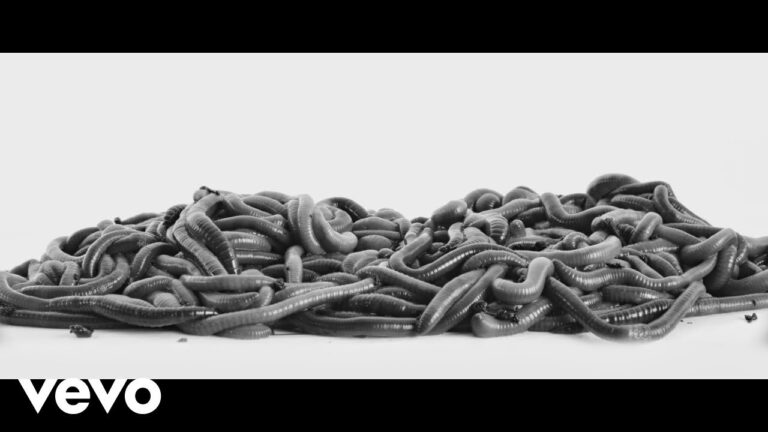 Normas Fiscales Actuales en el Pa&iacute;s Ib&eacute;rico