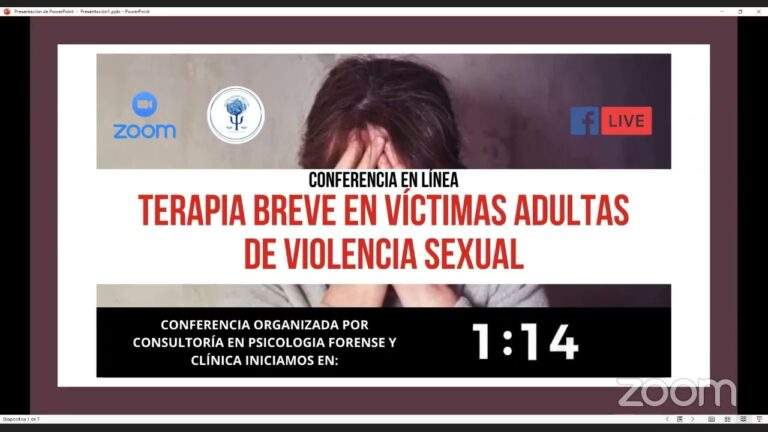 Apoyo Psicol&oacute;gico a Menores V&iacute;ctimas de Violencia Dom&eacute;stica