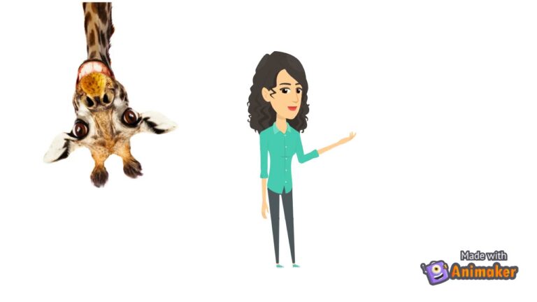 Promoviendo el Respeto a la Ley de Protecci&oacute;n Animal en Espa&ntilde;a