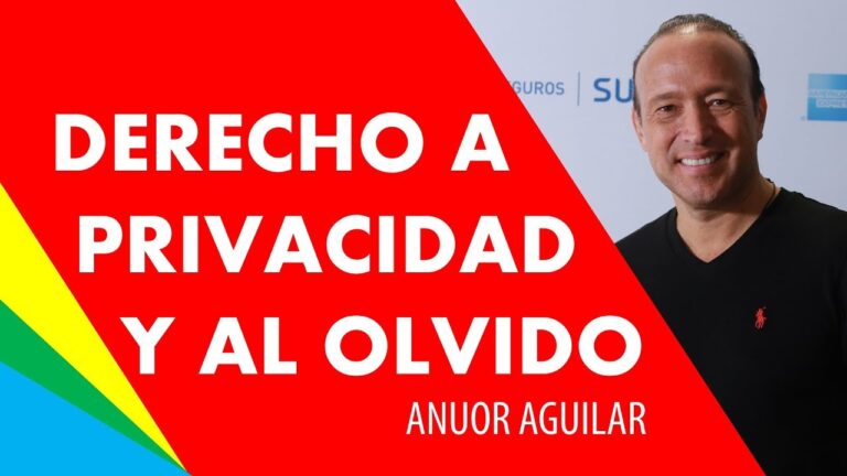 Confidencialidad y Protecci&oacute;n de la Intimidad en la Legislaci&oacute;n Espa&ntilde;ola