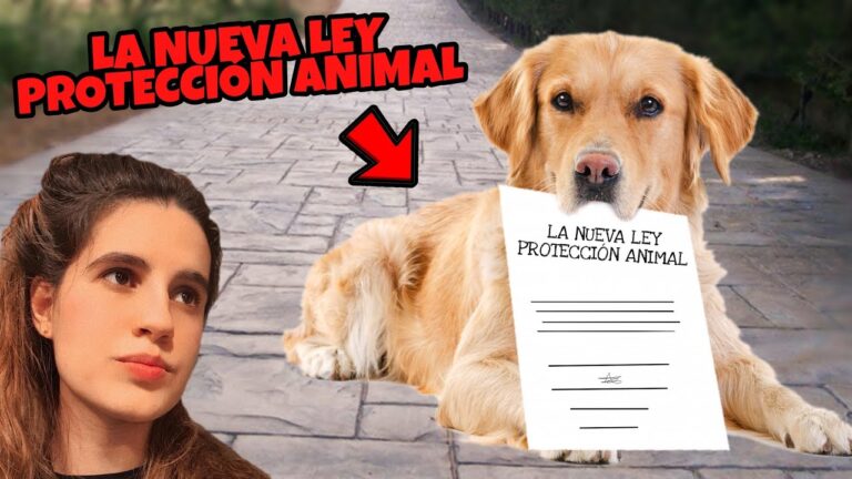 Avances en la Legislaci&oacute;n sobre Protecci&oacute;n Animal y Fomento de Adopciones