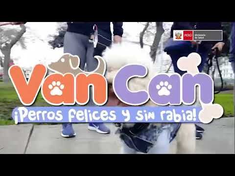 La necesidad de la vacunación obligatoria en mascotas
