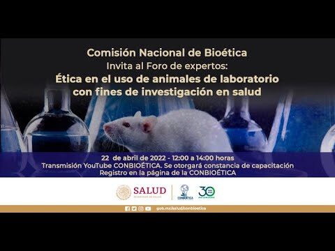 Regulaciones sobre el Cuidado de Animales en Espa&ntilde;a