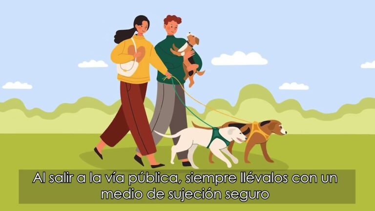 Gu&iacute;a de Ordenanzas Municipales para la Tenencia Responsable de Animales