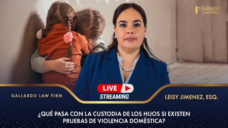 Derechos de los Menores en Custodia por Violencia Dom&eacute;stica