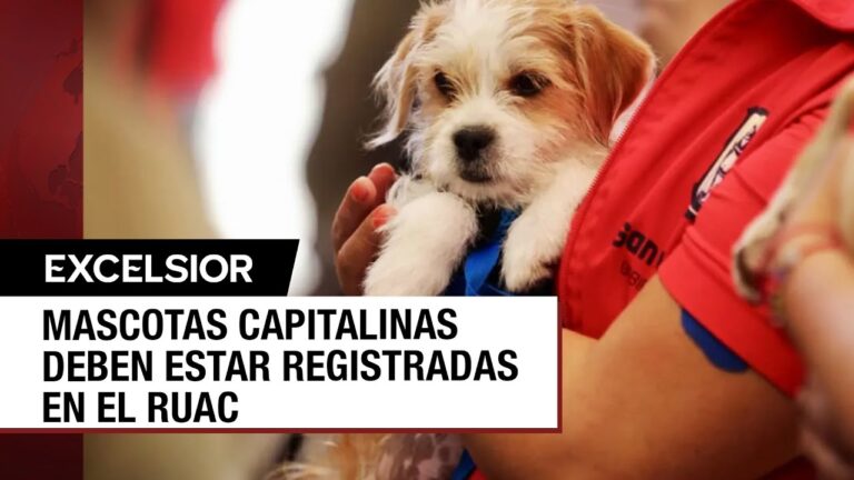 Beneficios del Microchip en la Protecci&oacute;n Animal