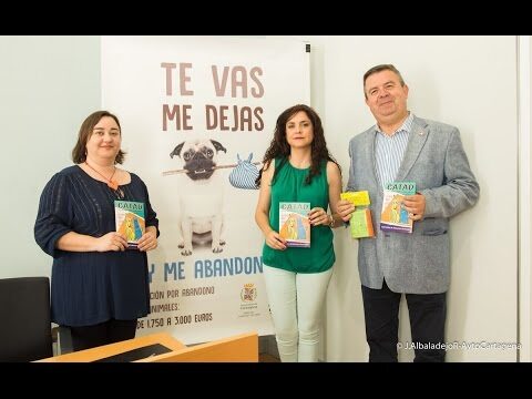 Normas para la Tenencia Responsable de Animales en Espa&ntilde;a