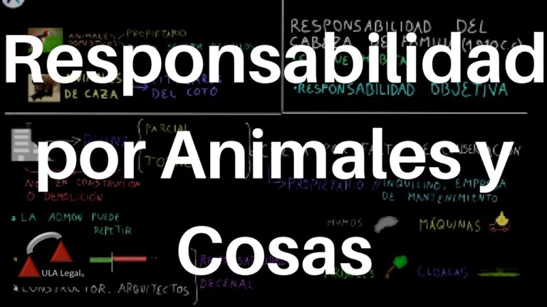 Derechos y Obligaciones del Propietario de Animales