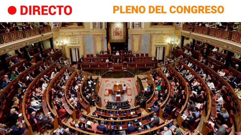 Apoyo a la Ley de Protecci&oacute;n Animal en Espa&ntilde;a