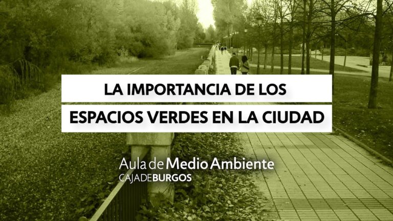Legislaci&oacute;n Efectiva para el Mantenimiento de &Aacute;reas Verdes Urbanas