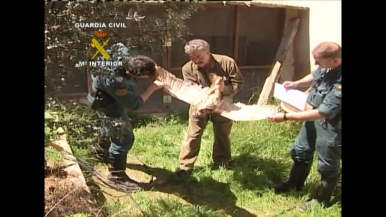 Leyes sobre la Tenencia de Animales en Espa&ntilde;a