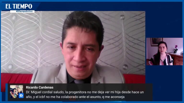 Garantías Legales en la Custodia de Menores en España