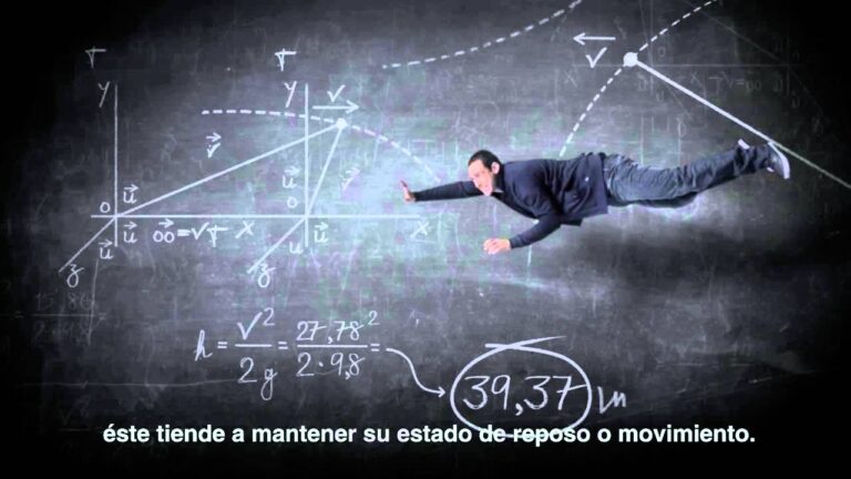 Importancia del Cinturón de Seguridad en la Ley de Tráfico Española